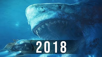 Evolution of Megalodon 2002 - 2018