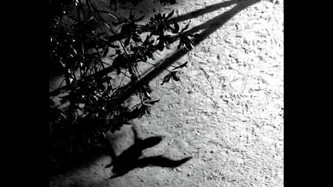 Max Richter - On the Nature of Daylight - 天天要聞