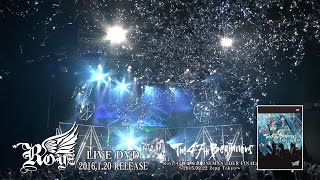 Royz 「The 47th Beginners」ライブ盤＆ドキュメント盤DVD SPOT