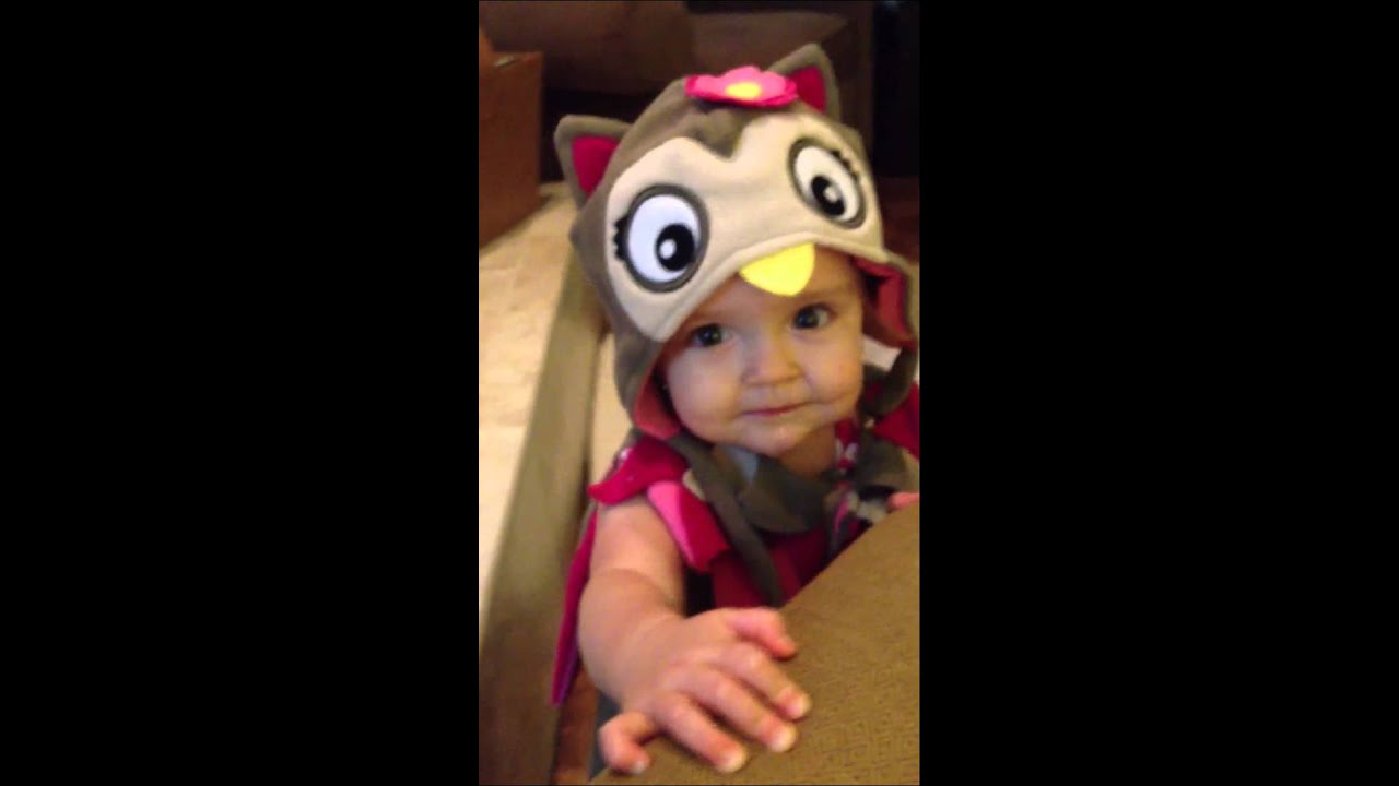 What does an owl say?