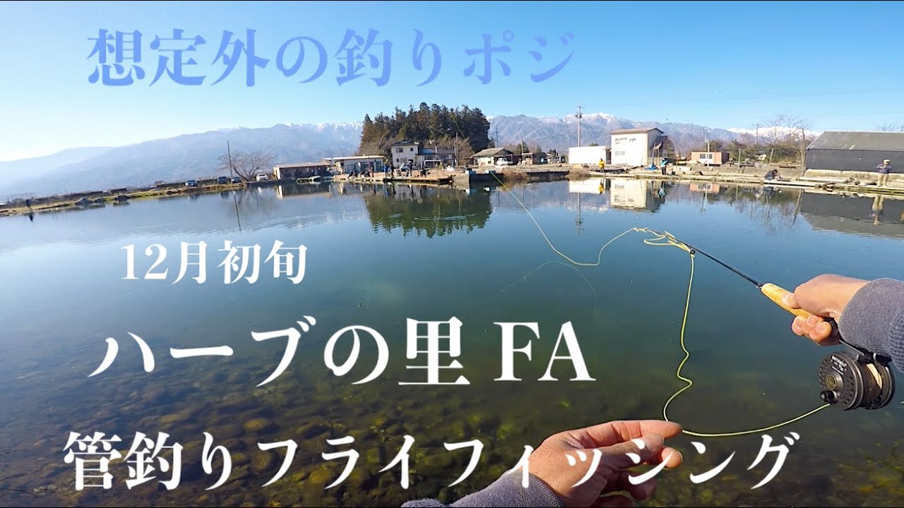 【想定外】ほぼクロスハンドのロールキャストで釣りしてきました【ハーブの里フィッシングエリア】 #管釣りフライ #フライフィッシング #管理釣り場 #フライキャスティング #管釣りフライ 