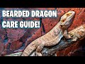 Bearded dragon care guide  beginners guide