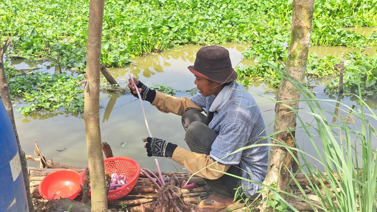 Chị Mộng Kha Nấu Món Ăn Lạ,,Với Cá Đồng,,Vừa Ngon Vừa Rẽ...!