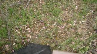 MVI_9686.AVI