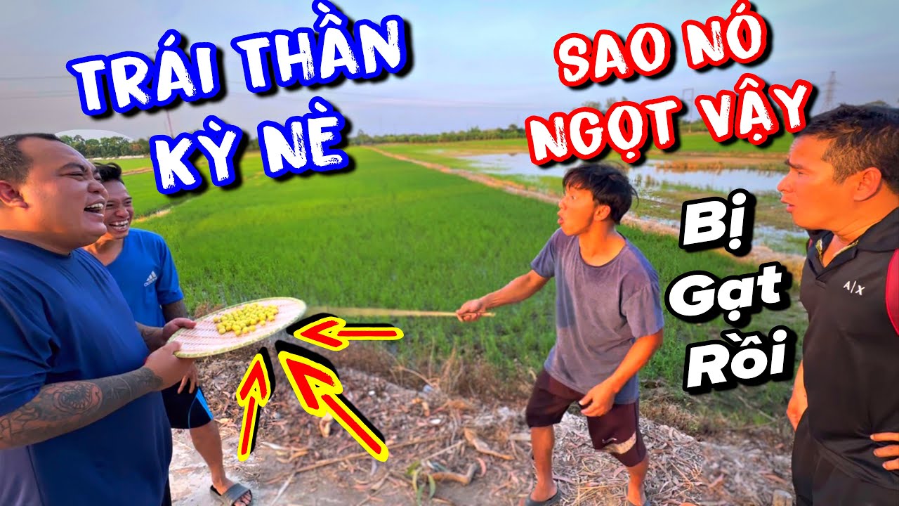 Thánh xàm nhờ sự giúp sức của trái thần kỳ dại cho Ku Đạt và Ku Lùn một bài học