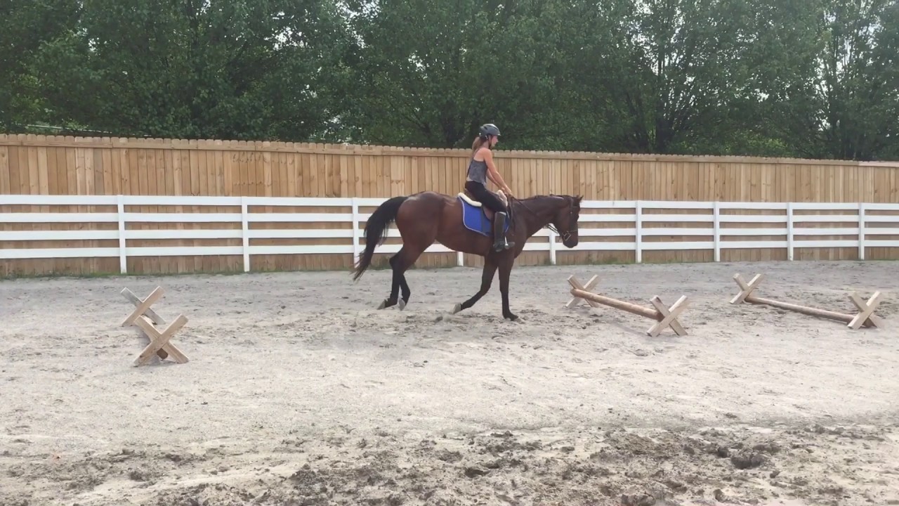 Maximum Security OTTB for sale YouTube