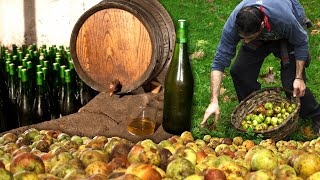 Craft cider. Traditional elaboration of this drink from apples | Documentary film