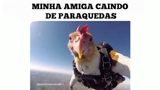 MELHORES MEMES EM IMAGENS - MINHA AMIGA CAINDO DE PARAQUEDAS