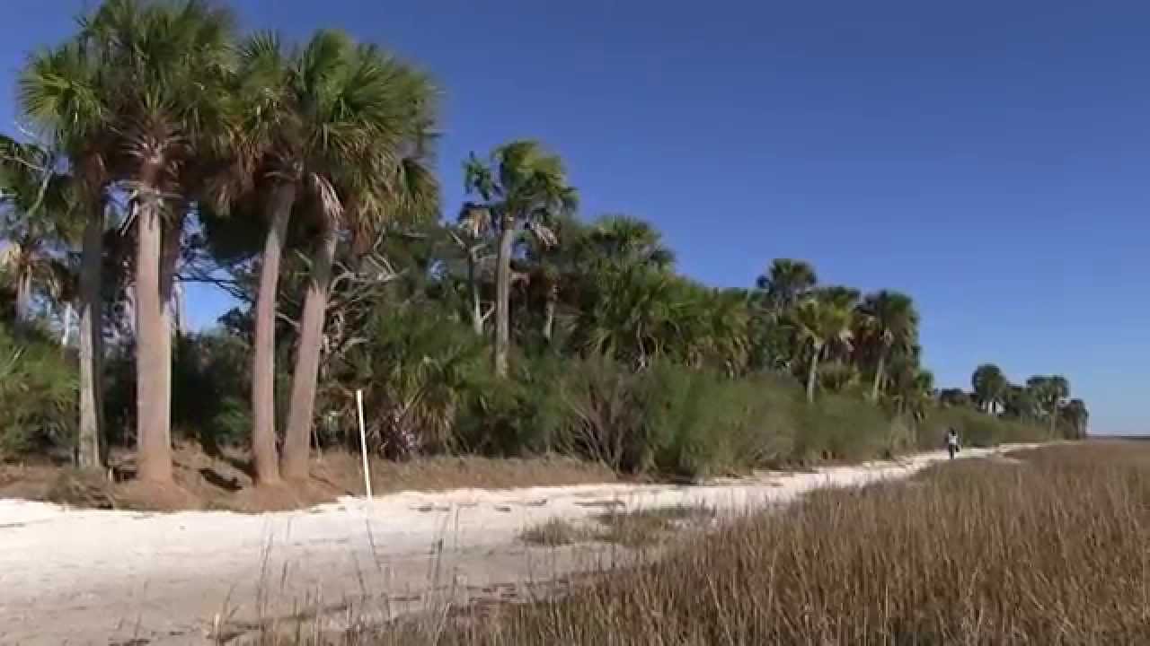 dronesense St Marks Lighthouse State Park - Florida