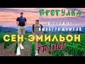 Виноградники в Помероль - Pomerol-самая маленькая область Бордо I Франция