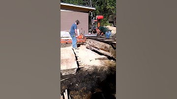 Alaskan sawmill on large maple log 2