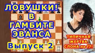 Шахматы ♕ Шахматные ЛОВУШКИ! ♔ ЖЕРТВА СЛОНА на f7! в дебюте ГАМБИТ ЭВАНСА ⚔