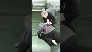 Hapkido joint lock restraint