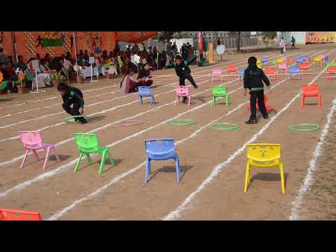 Hurdle Race