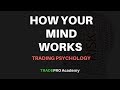 How Your Mind Works and How to Conquer it for Day Trading and Swing Trading - Trading Psychology