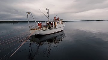 Very high resolution 3D seismic survey SplitMultiSeis 3D