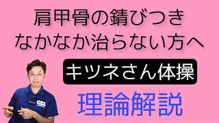 きつねさん体操　肩甲骨錆び付きを落す　理論解説