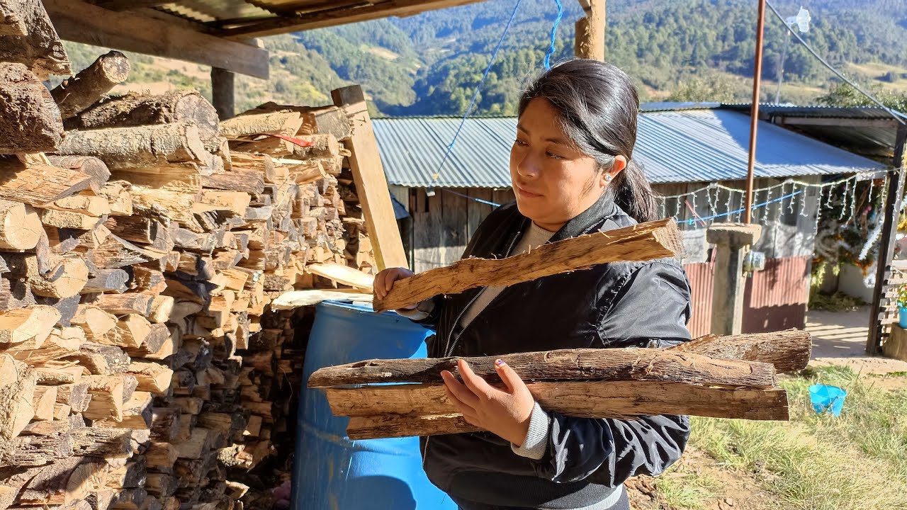 Esto hago por las mañanas cuando me levanto, junto a mis animalitos