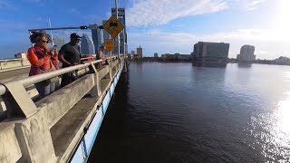 Ruck chronicles Ep. 5 (Dolphin at the Main St Bridge)