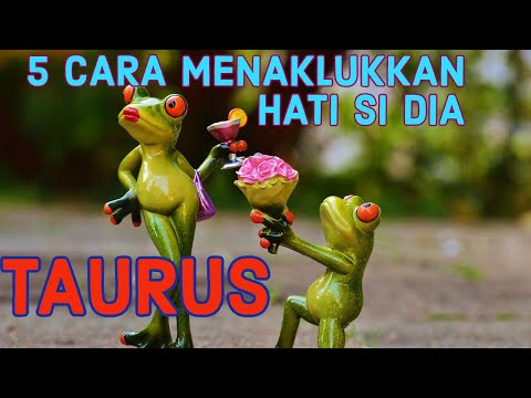 Video: Cara Hidup Dengan Taurus