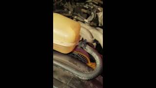 sensor pacifica replacement crankshaft position broken engine remove cam block