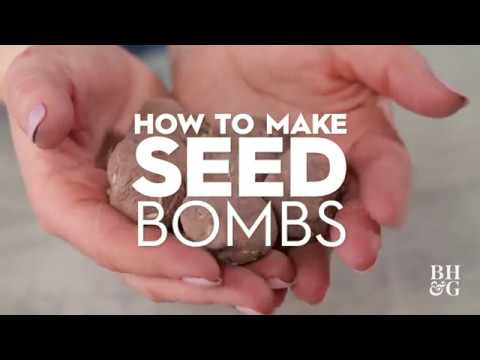 Do Wildflower Seed Balls Work