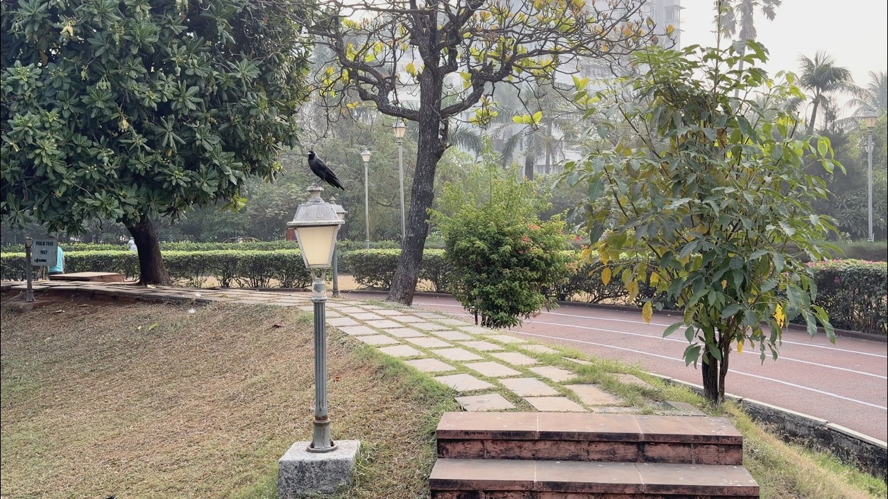 Jogger's Park Morning 4K Vlog