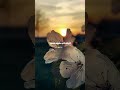و م ن أ ر اد الآخ ر ة و س ع ى ل ه ا س ع ي ه ا و ه و م ؤ م ن الشيخ بدر التركي
