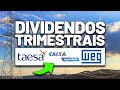 💰DIVIDENDOS TRIMESTRAIS na CAIXA SEGURIDADE? WEG IRÁ DESENVOLVER TURBINA EÓLICA e a TAESA está CARA?