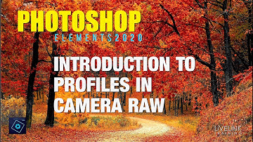 Introduction To Profiles in Camera RAW - Photoshop Elements