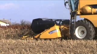 Sorgo w Polsce 2013 ( Sorghum harvest in Poland 2013)