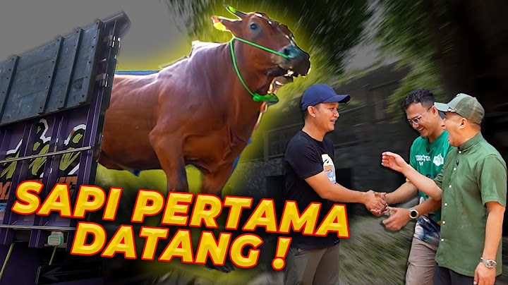 HATI GW MULAI BERDEBAR!! SAPI KURBAN MULAI DATANG  !! Mas Hermawan X Kang Arif 👀??!!