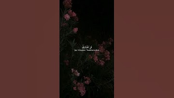 ما تيسر من سورة النمل : للقارئ جابر القيطان