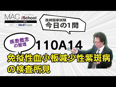 110A14 動画で学ぶ医師国試（MAC）免疫性血小板減少性紫斑病の検査所見（今日の1問）