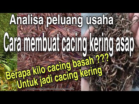 Video: Adakah burung merayap malam Eropah bagus untuk membuat kompos?