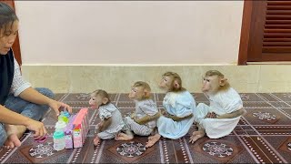 4 Siblings Sit Meditating Very Calmly Waiting Mom To Prepare Fruity Milk Together Very Juicy ,