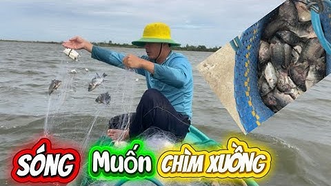 Bao vây bầy cá khi gặp sóng quá lớn, muốn chìm xuồng luôn. ĐCMT