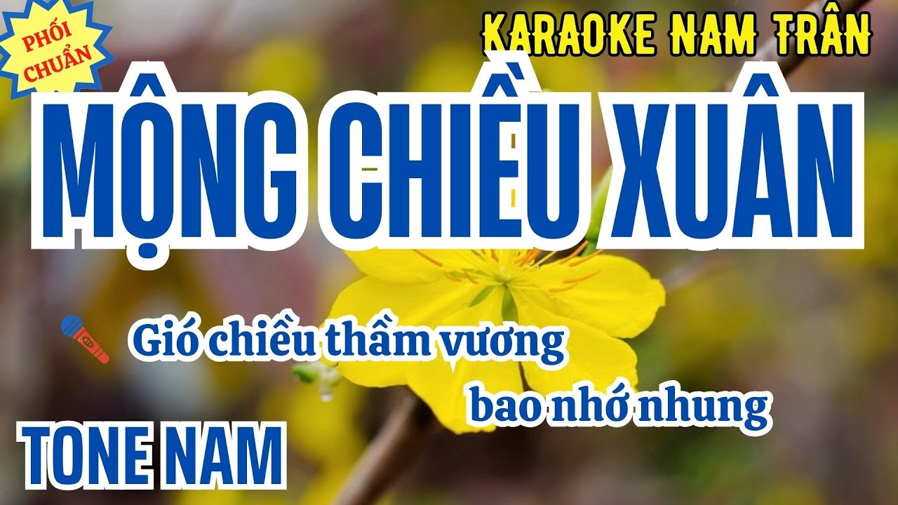 Karaoke Mộng Chiều Xuân Tone Nam | Nam Trân