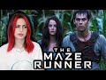 THE MAZE RUNNER Is Actually A Great Teen Trilogy...