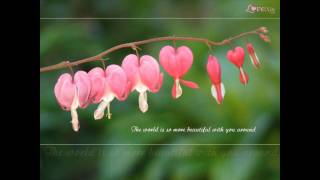 Tere Liye-Kailash Kher.wmv