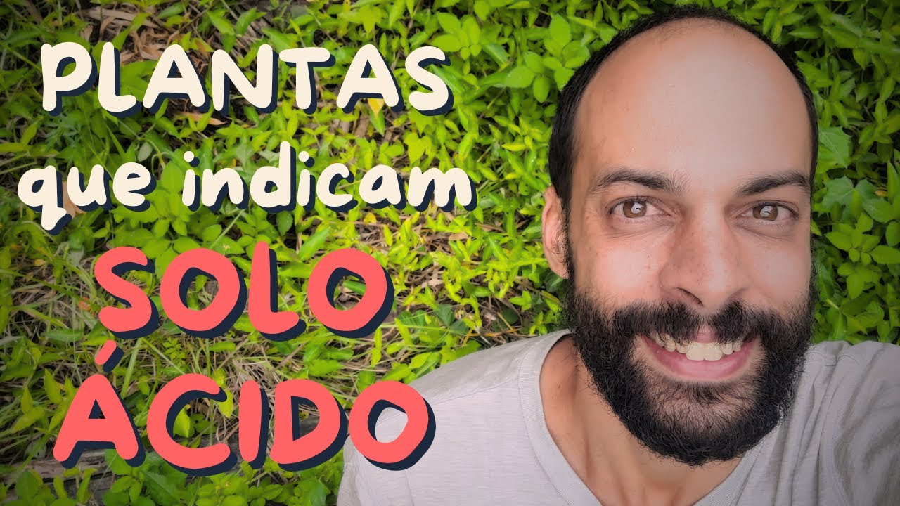 Plantas Indicadoras Descubra AGORA se o Solo é BOM ou RUIM