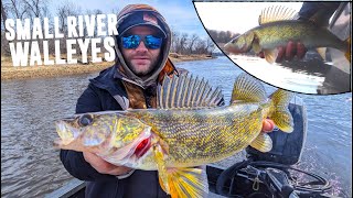 Catching a TON of Spring Walleyes in SMALL River!