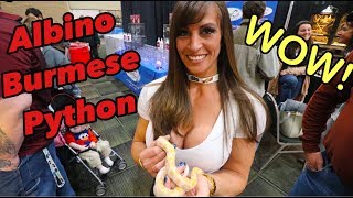 Unboxing my Albino Burmese Python from the NARBC Tinley Show - 2019