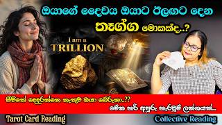 What is the next gift destiny has in store for you