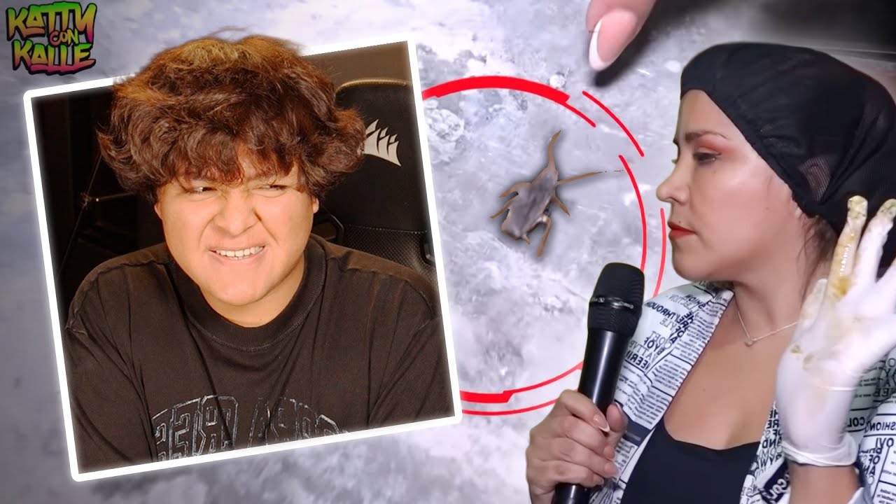 ALECCHI reacciona a 'KATTY CON CALLE encuentra CUCARACHA MAQUILLADA en RESTAURANTE' 🤮
