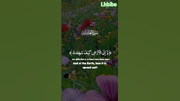 سورة الغاشية #اكسبلور #القزابري #البخل #funny #المصحف #الجيلي #لايك #الرحمن #حالات_واتس #العظماء
