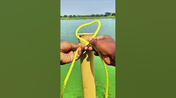 Unbelievable Hits Necktie knots