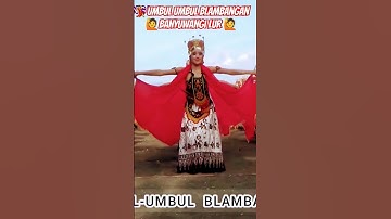 Umbul umbul Blambangan Banyuwangi Lur #kabarebanyuwangi Sunrise of Love Java