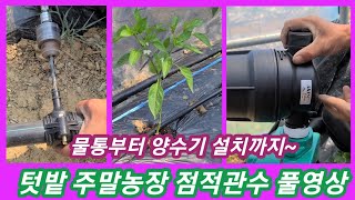 텃밭 점적관수 풀영상~물통부터 양수기 설치~아직 관수 안하신분 꼭 보세요~ 주말농장,물펌프 점적체이프,점적호스,귀동귀촌,농사농부 비닐하우스 관수