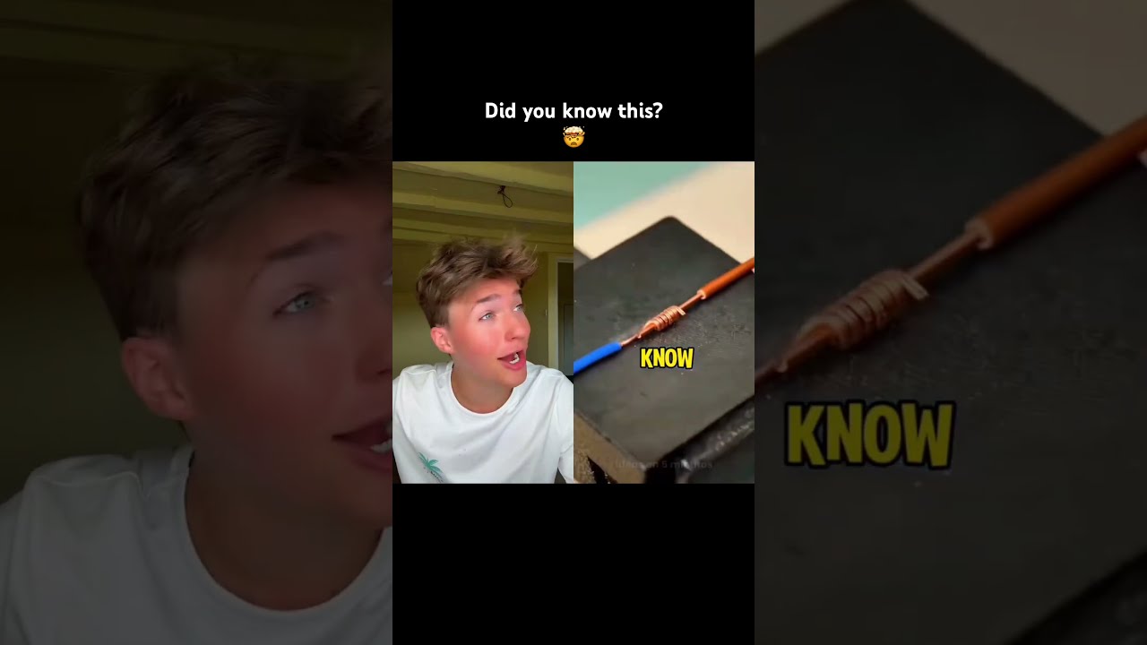 Did You Know 